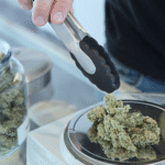BC Weed Delivery: What It Means to Source Quality?