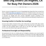 Best Dog Sitters Los Angeles CA for Busy Pet Owners 2026