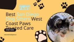 Best San Diego Dog Sitters West Coast Paws Trusted Care