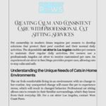 Creating Calm and Consistent Care with Professional Cat Sitting Services
