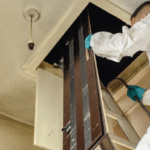 Building and Pest Inspection Adelaide