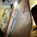 Mould Inspection Adelaide