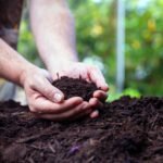 Benefits Of In Ground Composting