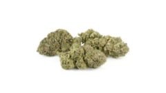 Buy Sativa Weed Online: Why the Experience Is Better Than In-Store