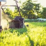 Lawn Mowing Orange NSW