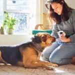 How Hoboken Dog Daycare Helps Improve Your Pup’s Social Skills
