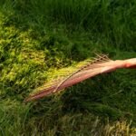 Garden and Landscape Services