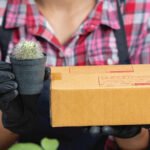Why Are Medical Marijuana Delivery Services in DC a Convenient Option for Adults?