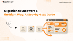 Top 10 Shopware 6 Migration Challenges and How to Avoid Them